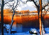 Am Cambser See bei Langen Brtz (KWell 2000)