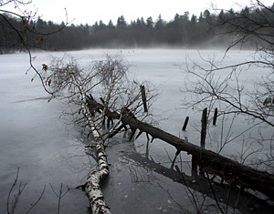 Frauensee im Nebel1 (Foto: kwell 06)