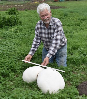 Riesenbowist gefunden von M.Zimmermann